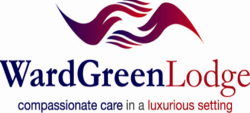 britto healthcare Logo